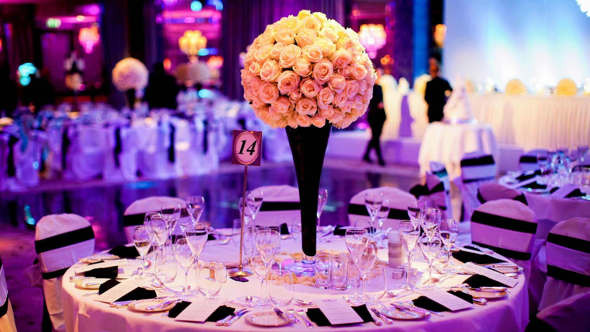 Intangible Hospitality - Best Event Management Company 